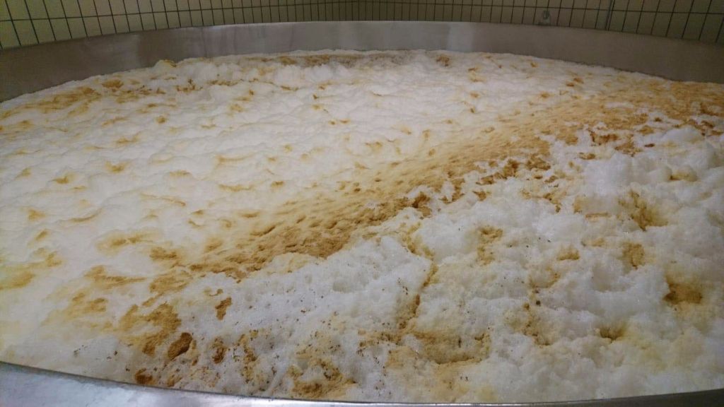 發(fā)酵啤酒可以不使用啤酒酵母嗎？