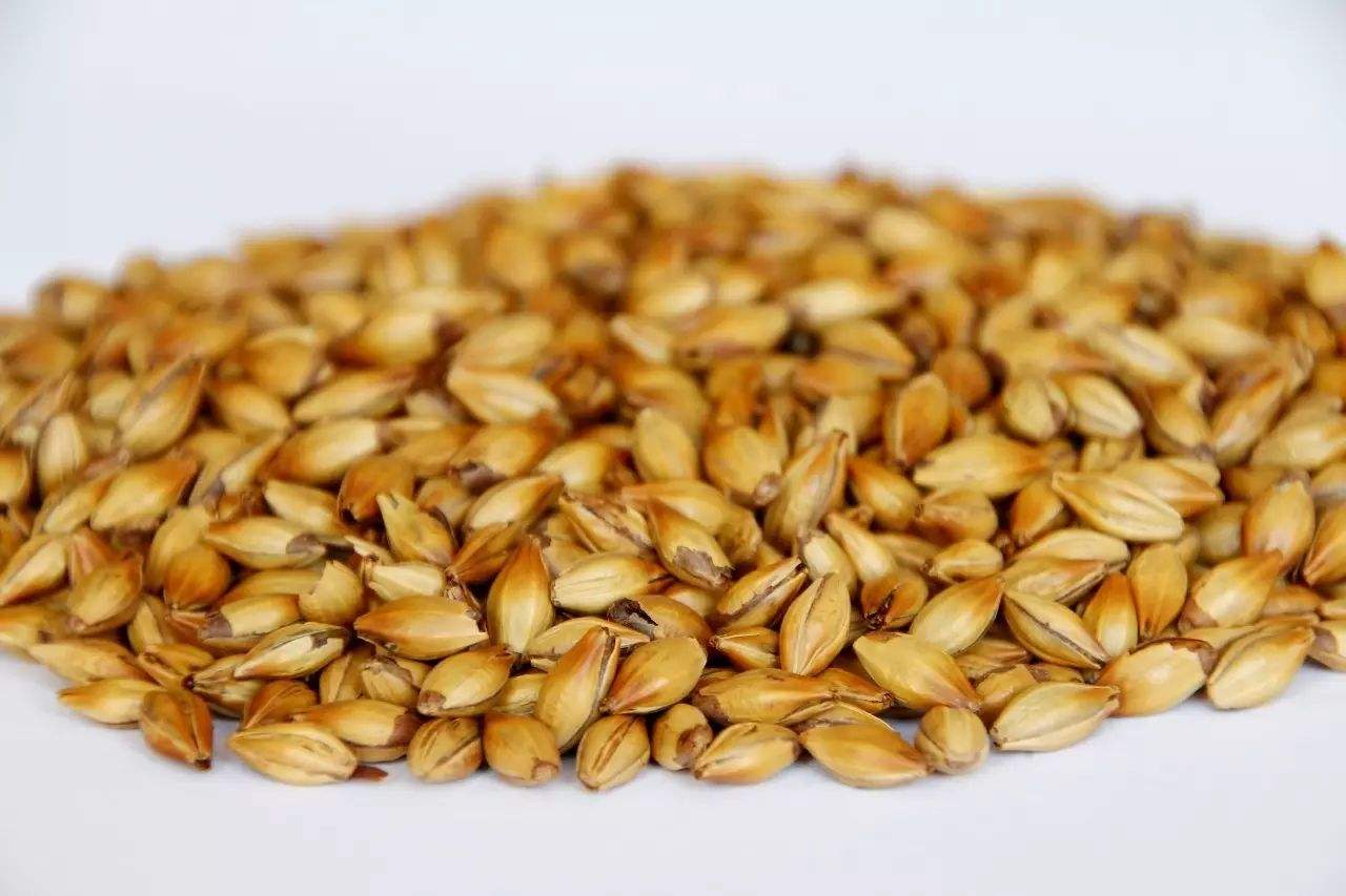 做精釀啤酒，如何選擇合適的粉碎機？