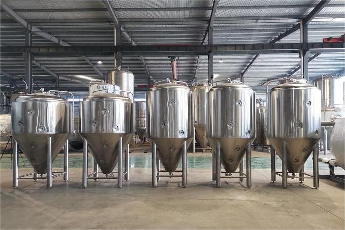 主發(fā)酵過程中有哪些關(guān)鍵要素？