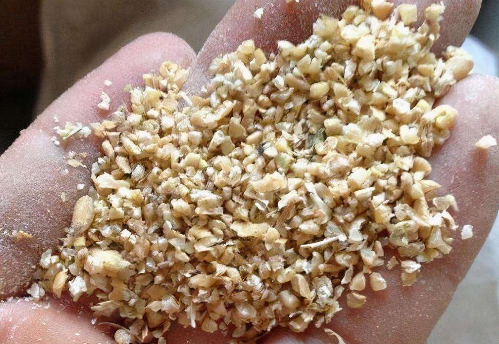 做精釀啤酒，如何更好地進(jìn)行麥芽粉碎呢？