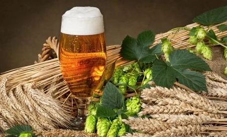 精釀啤酒中，如何選擇恰當?shù)慕湻椒ǎ?> </a>
    </dt> 
    <dd> 
     <h4><a href=