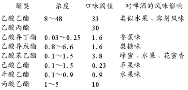 精釀啤酒設(shè)備,啤酒廠設(shè)備,開(kāi)辦啤酒廠,發(fā)酵，錐形罐